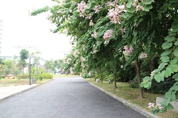 版权所有